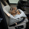 2in1 premium dog handbag and car seat