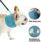 Cooling dog collar