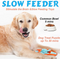 Brain-Boosting Feeders for Clever Dogs